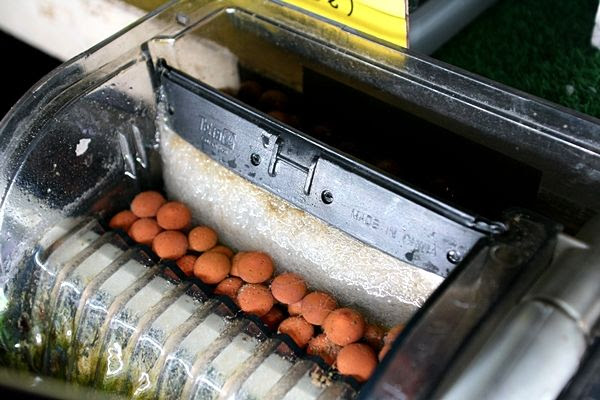 外掛けフィルター テトラワンタッチフィルターで海水魚飼育 店内での出来事 海水魚のパイオニア 日海センター 日海フィッシュコム
