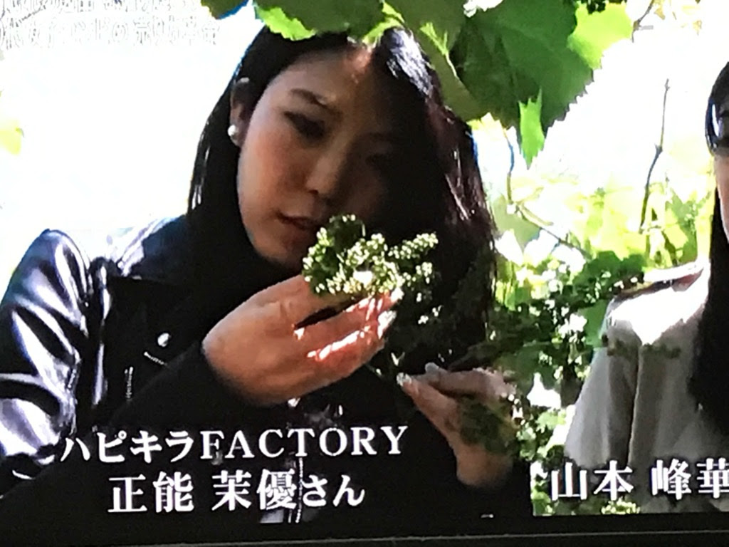 380 見たことのない名字 珍しい苗字 23 1001