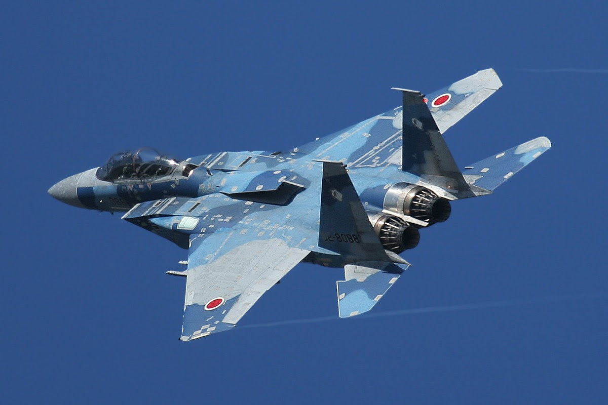 アグレッサー 航空軍事用語辞典