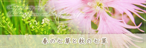 春の七草と秋の七草 の花言葉 誕生花 チルの工房 无域屋 花札庵