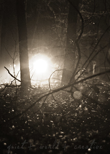 late night in the Big Woods.