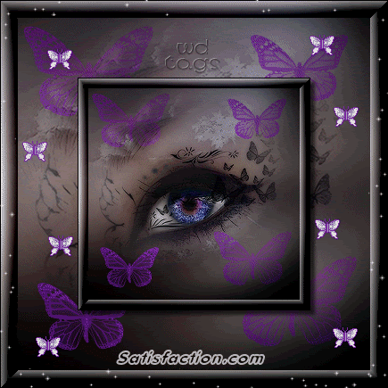 Butterfly Images