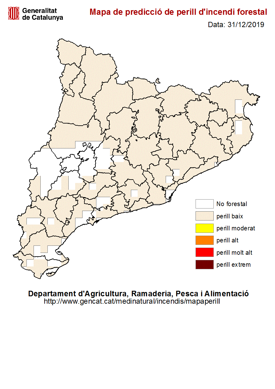 Risc d'Incendis