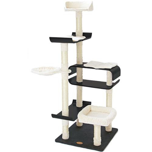 猫のジャンプ力の高さはどれくらい ジャンプが低い時に考えられる理由とは