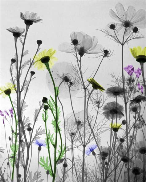 design stack  blog  art design  architecture