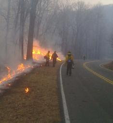 Smokies Plans Prescribed Burns in Cades Cove and Cataloochee