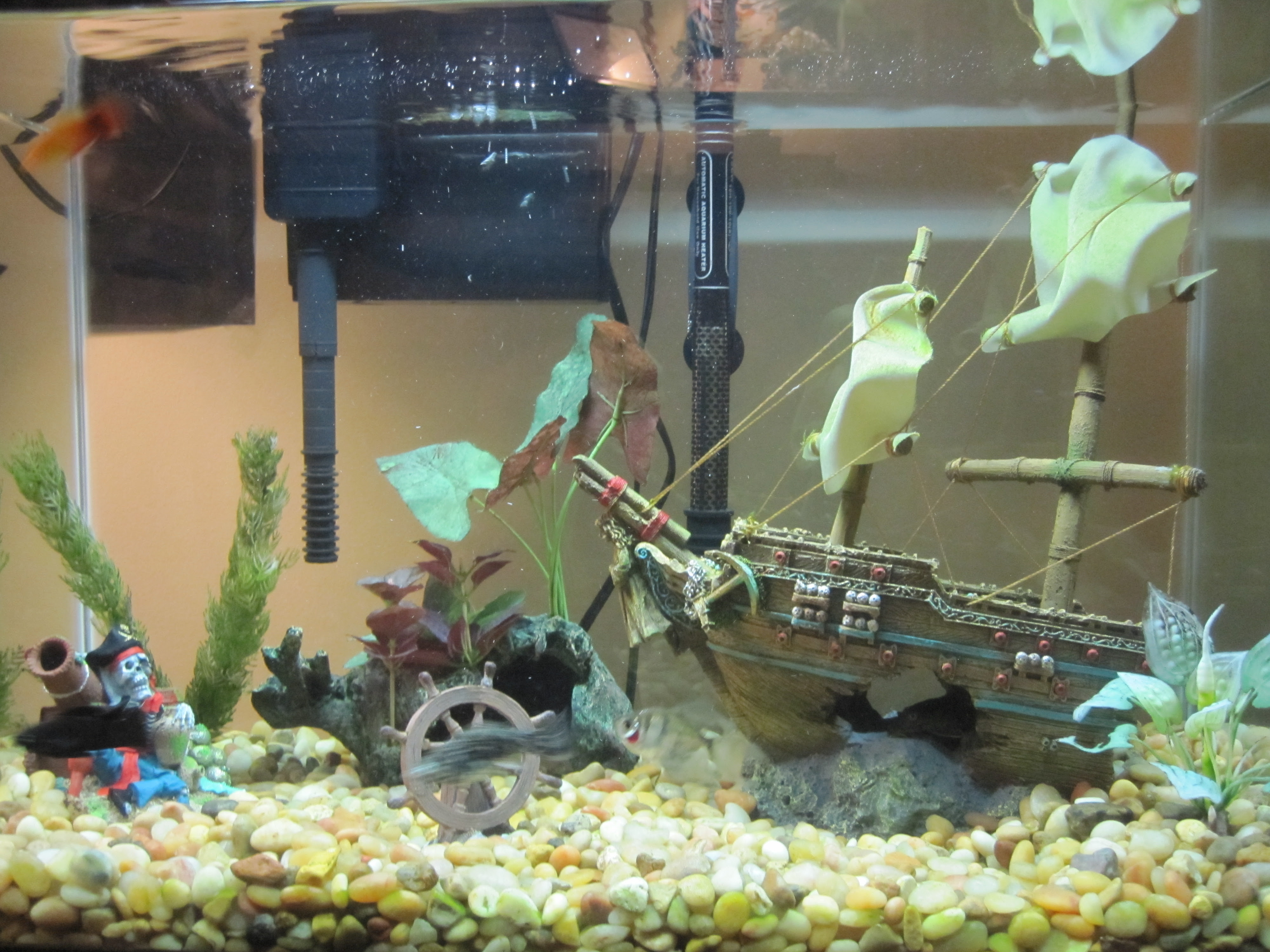 Decorating a Fish Tank | I am Mani - Life is precious - Don't waste it