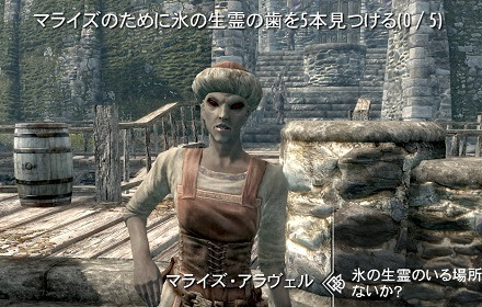 マライズのために氷の生霊の歯を 5本見つける Shyana S Oblivion Add S
