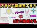 √70以上 ニンフィア 性格 188188-ニンフィア 性格 xy