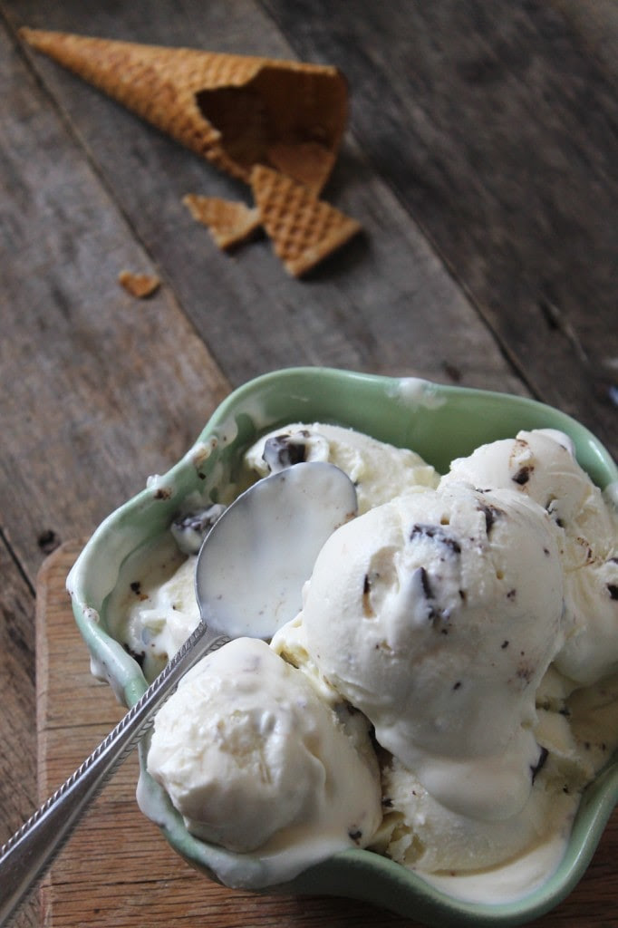 mint-chocolate-chip-ice-cream-8-682x1024