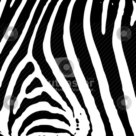 black and white zebra print background. and white print background