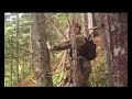 Video Медвежий край, заключение