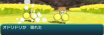 ポケモンサン ムーンの努力値稼ぎおすすめの場所
