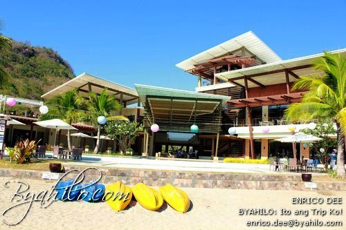 pico de loro 018
