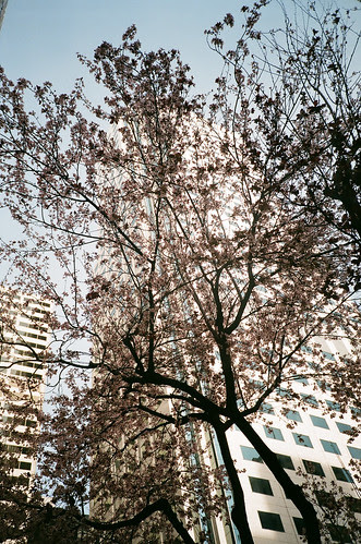spring