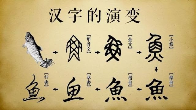 汉字由繁趋简趋势显著 提案建议 中小学繁体字识读教育 教育部回应了