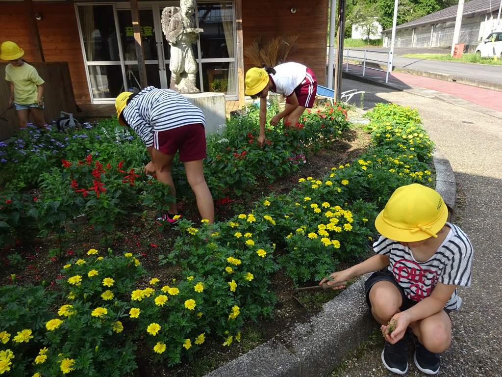 8 26 花壇の花が咲きそろってきました 名倉小学校