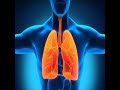 Life Insurance For Someone with Chronic Bronchitis