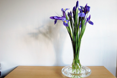 decanted iris