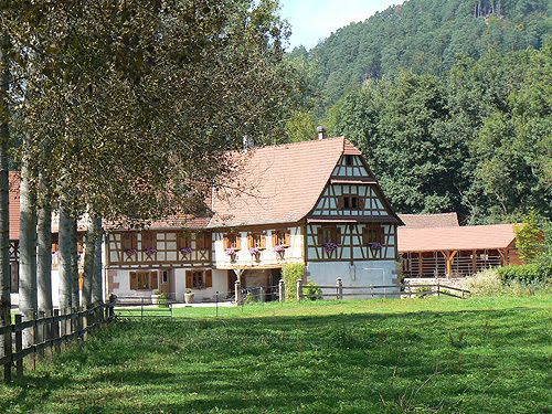 scierie de lembach.jpg