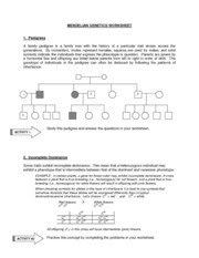 MENDELIAN GENETICS WORKSHEET - MENDELIAN GENETICS ...
