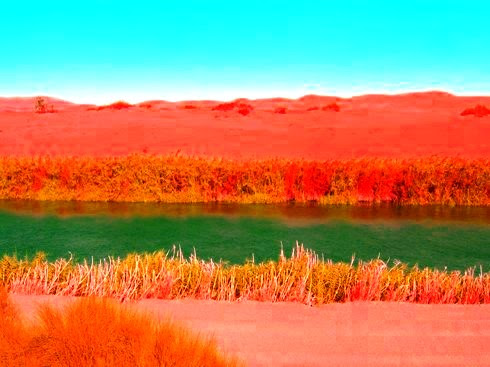 a canal near Yuma