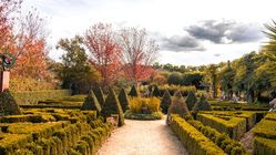 Liburan Edukatif! 4 Wisata Petik Buah di Batu Malang yang Wajib Dikunjungi 2025 Bersama Anak