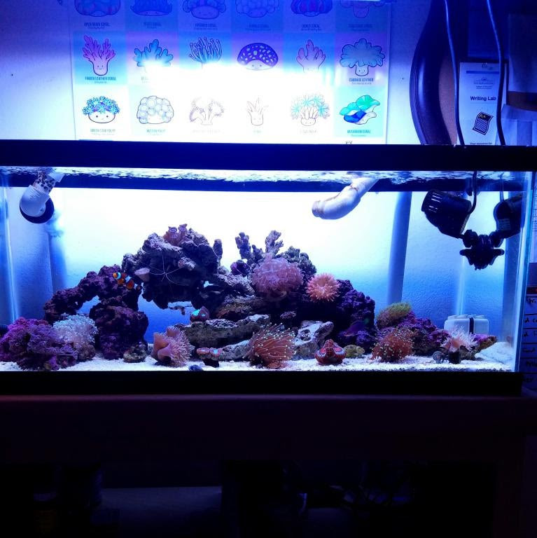 Click image for larger version Name: 20161219_200001.jpg Views: N/A Size: 78.3 KB ID: 142786