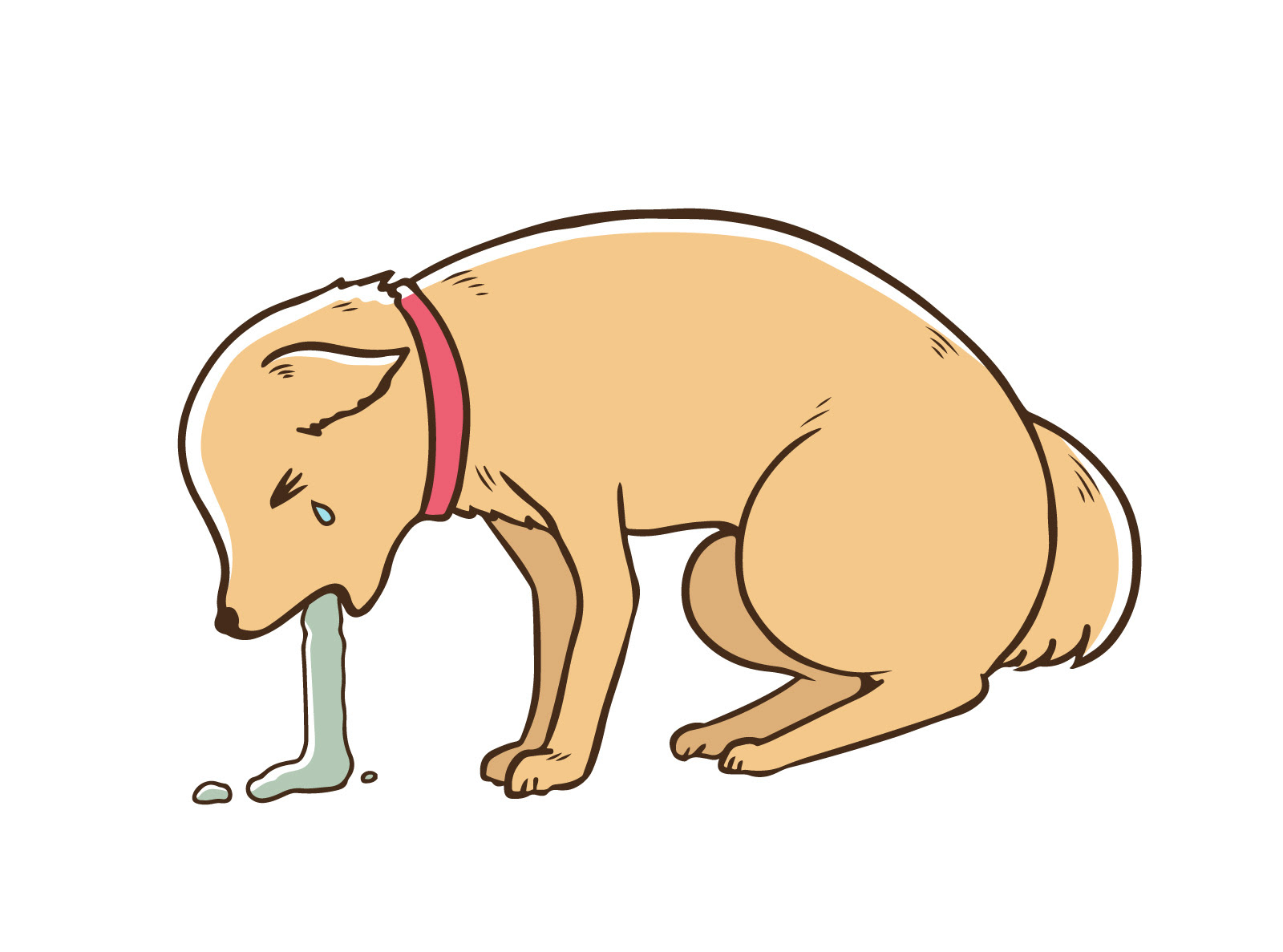 獣医師監修 愛犬が朝吐くのが心配 犬の嘔吐の原因や予防法 掃除方法は