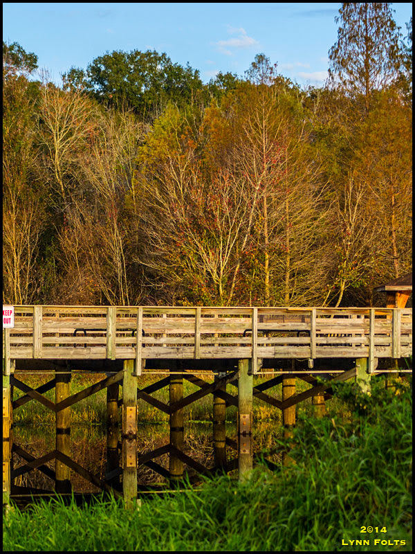 Pier