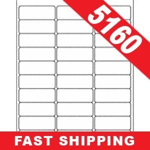 Amazon.com : 100 Sheets (3, 000 Labels) 5160-Size Address Labels for Laser/InkJet : Office Products