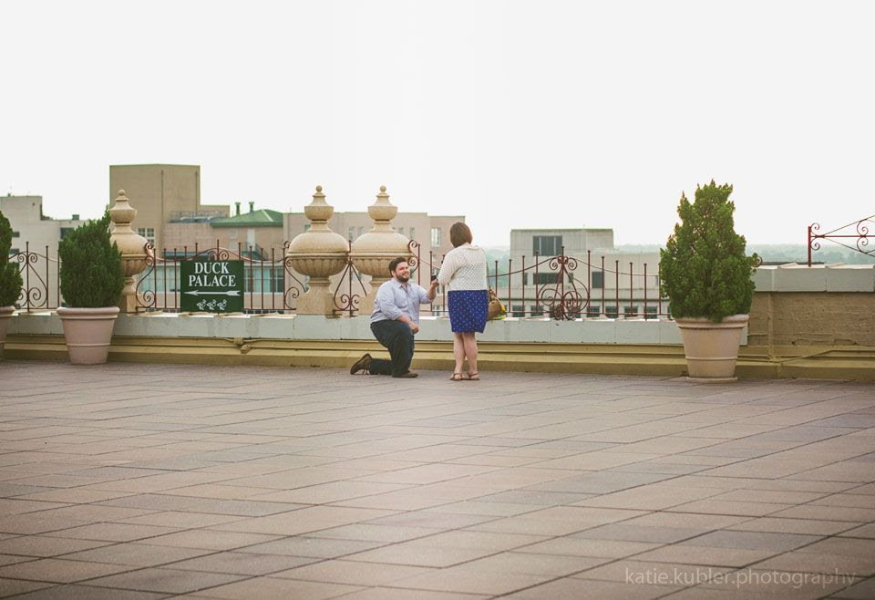  photo crickproposal-013.jpg