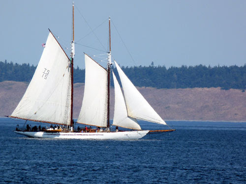 Port Townsend Wooden Boat Festival