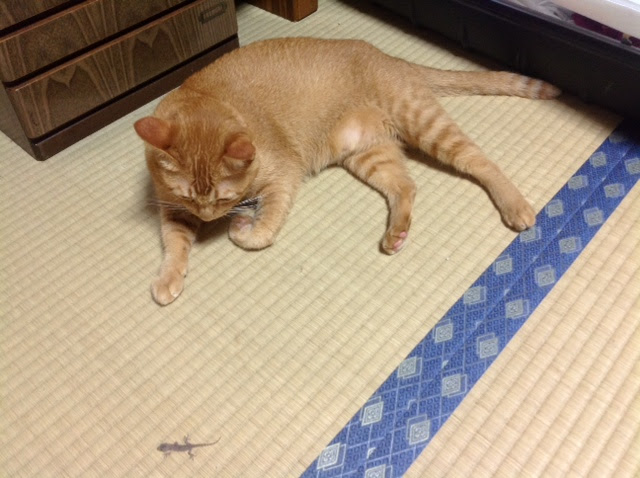 13年09月の記事 伊藤セツ研究blog