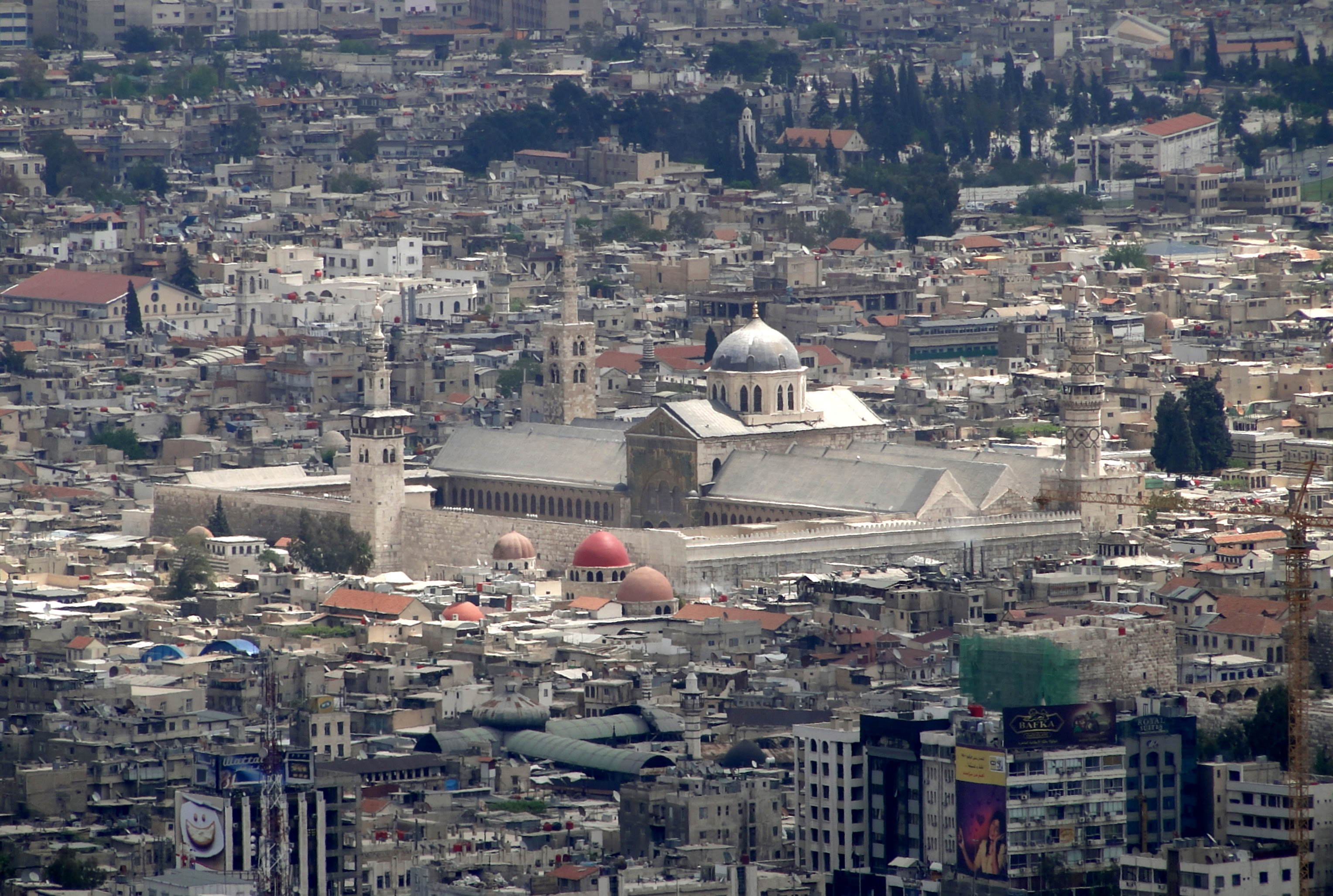 Born in : DAMASCUS ولدت في : دمشق
