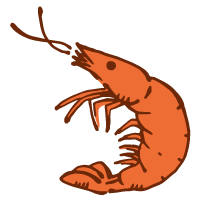 エビのイラスト かわいいフリー素材が無料のイラストレイン