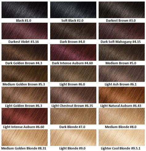  garnier hair dye colour chart focus