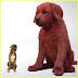 Clifford The Big Red Dog 2021 - Live Action Clifford The Big Red Dog Teaser Freaking People Out Complex : Becker directs from a screenplay by jay.