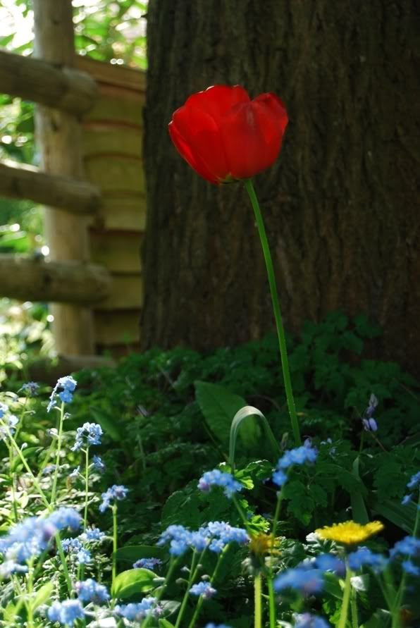 Ouseley Garden