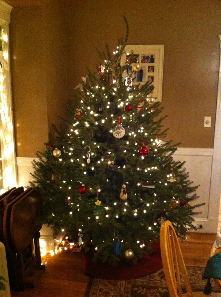 photo(23)