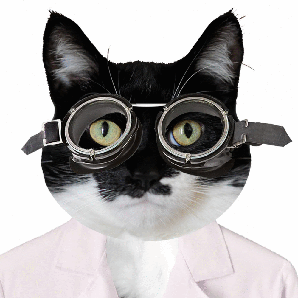 oKiMt_ on Make A Gif, Animated Gifs