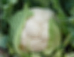 花菜类