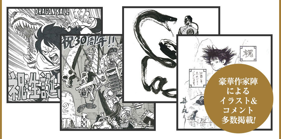30th Anniversary ドラゴンボール 超史集 Super History Book