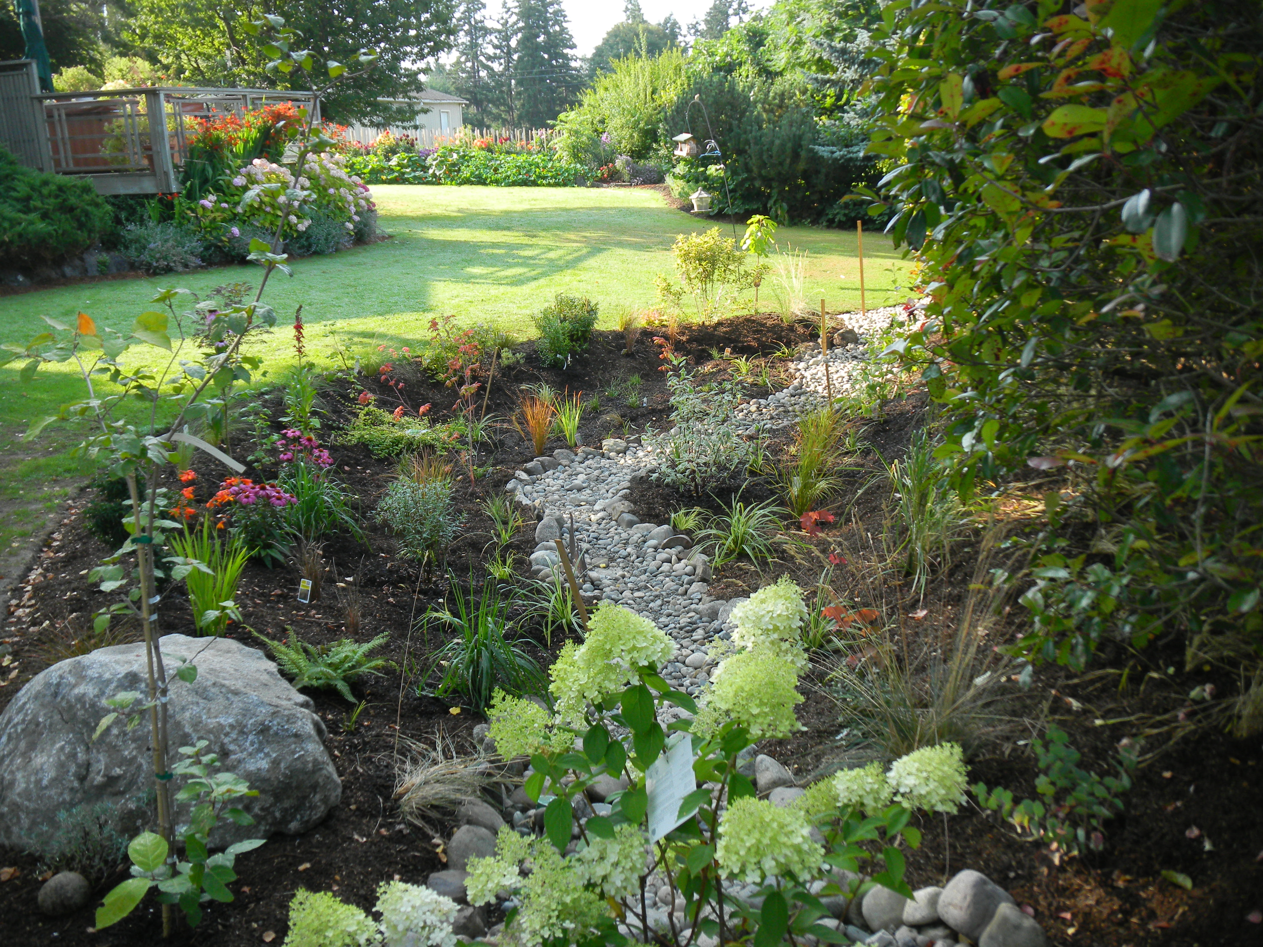 Rain Garden &amp; LID Program | Kitsap Conservation District