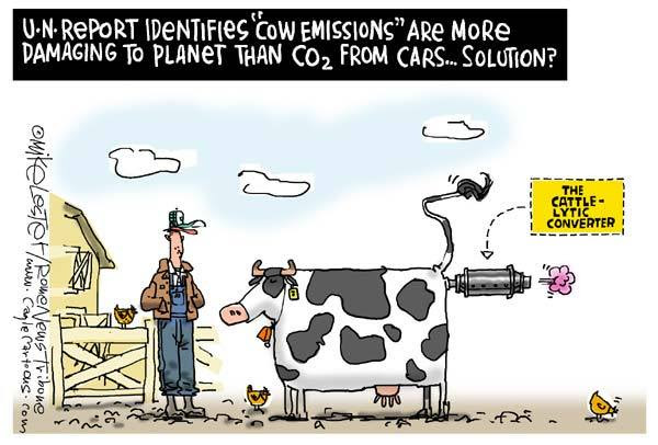 Image result for cow farts cartoons