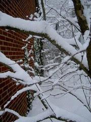 this morning (feb 26)