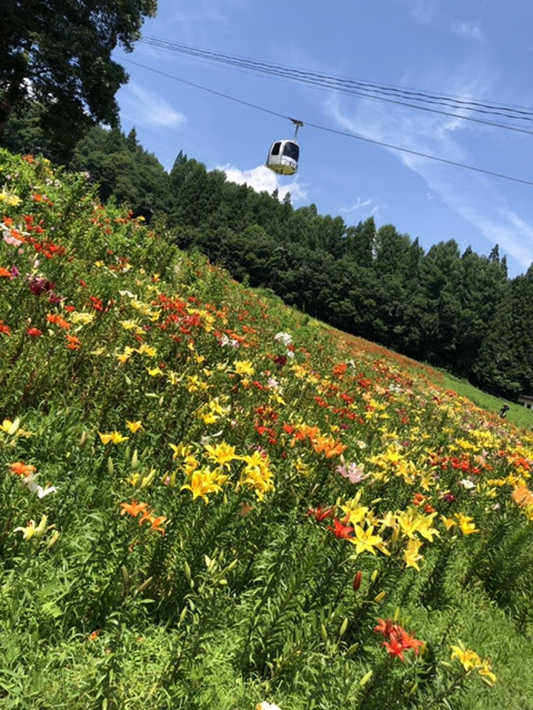 白馬岩岳ゆり園 スタッフブログ 株式会社サンリツ 下水道 マンホール ジョイント 支管 スペーサージョイント メカロック