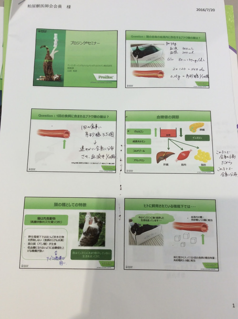 新しい糖尿病動物患者用インスリンのセミナーに参加してきました 