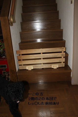 手作りバリケード 母バージョン プリンスウィリアム