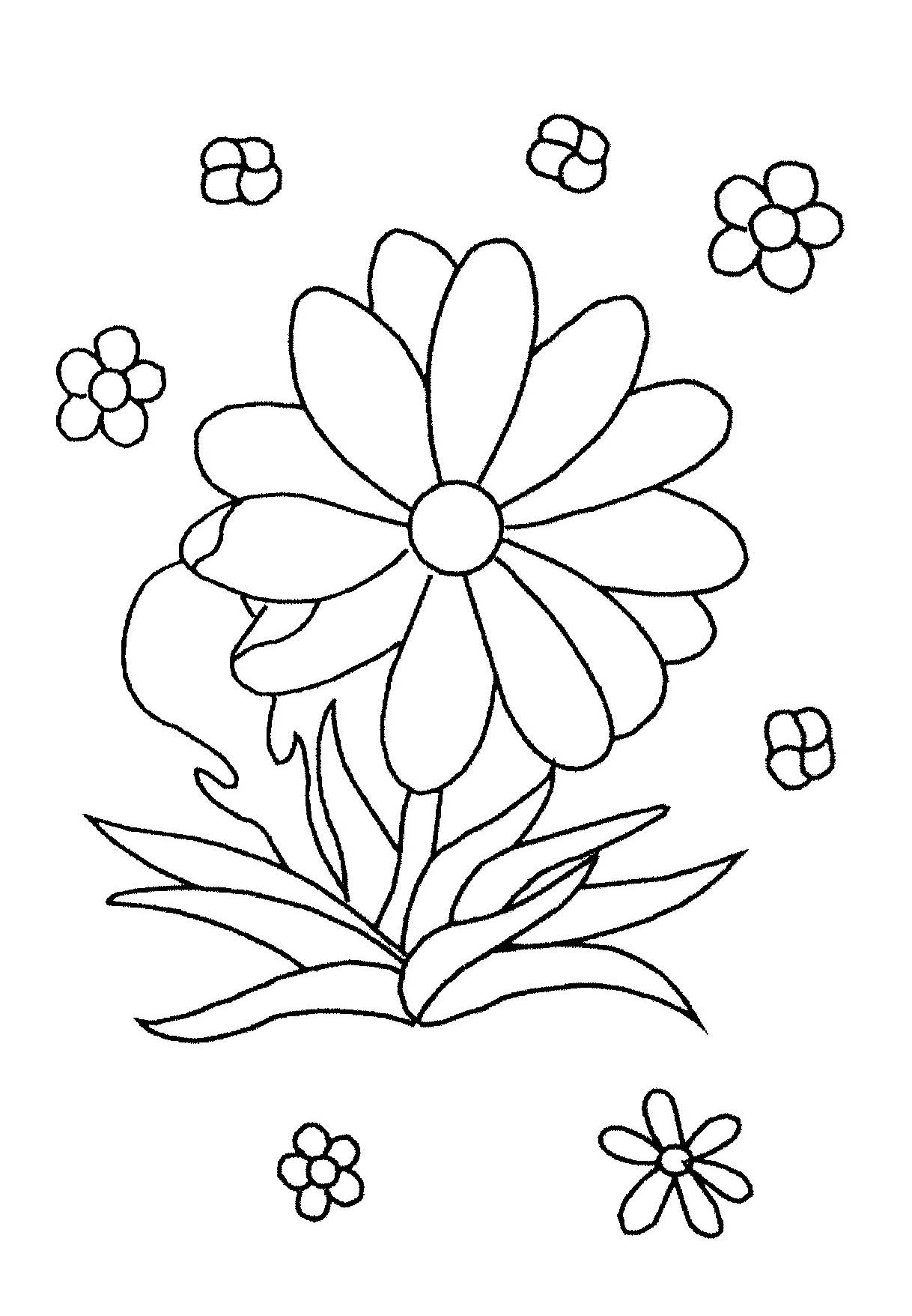 coloriages fleurs